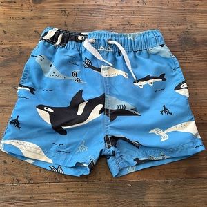 New Hanna Anderson blue shark/ fish swim trunks 18-24 months